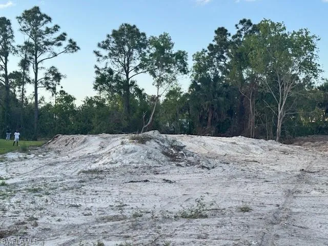 View of local wilderness