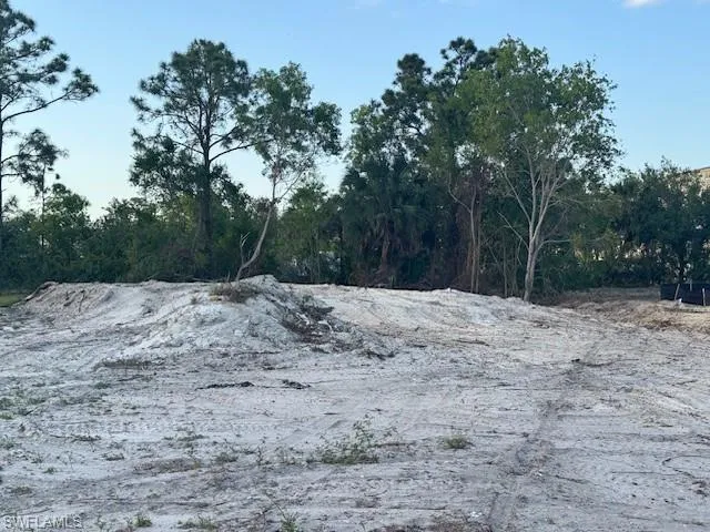 View of nature