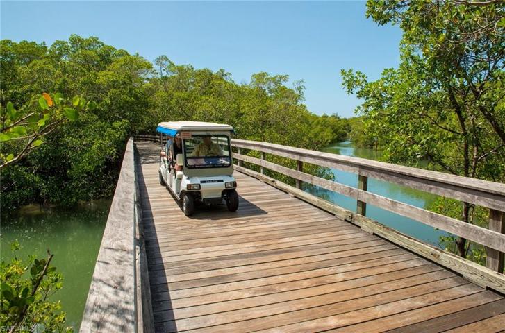 Beach Tram