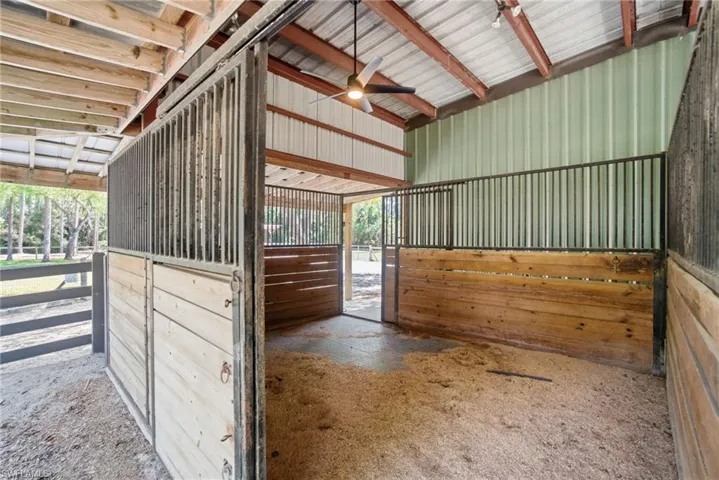 View of horse stall