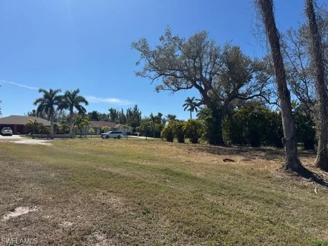 View of grassy yard