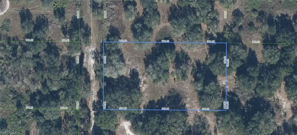Survey Map. Illustrating the property boundaries and dimensions