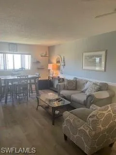 Living area with wood finished floors and a textured ceiling