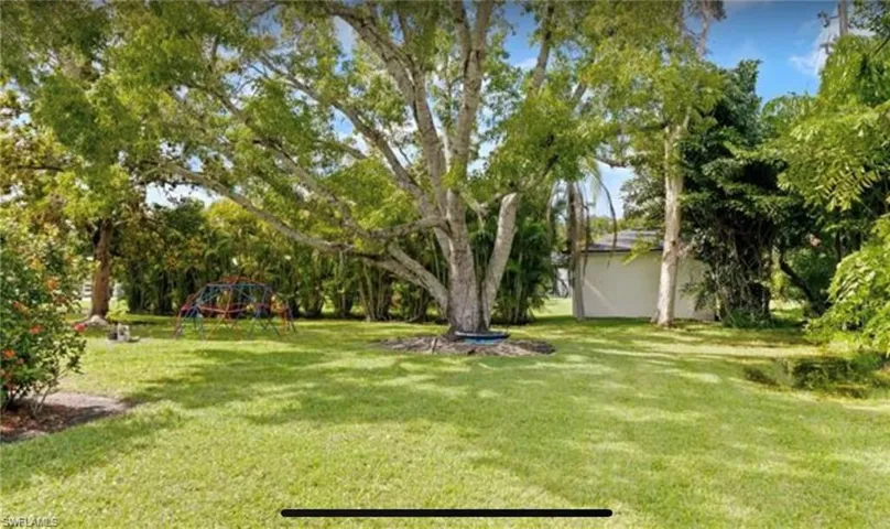 Backyard 2