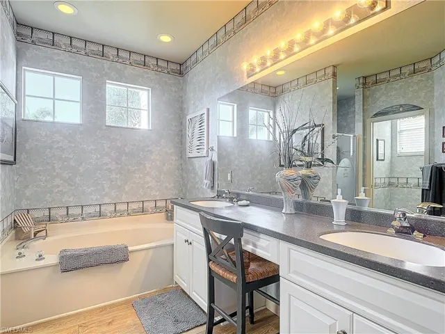 Bathroom with vanity, hardwood / wood-style flooring, and plus walk in shower