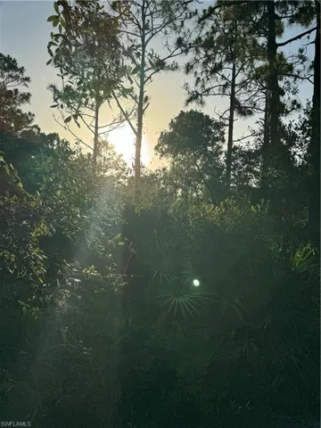 View of nature at dusk
