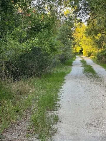 View of road