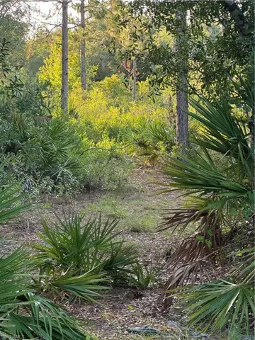 View of landscape