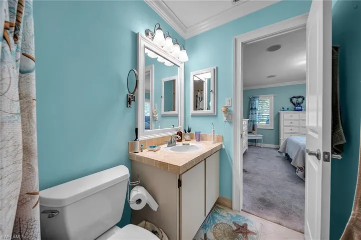 Ensuite bathroom with vanity, baseboards, crown molding, toilet, and connected bathroom