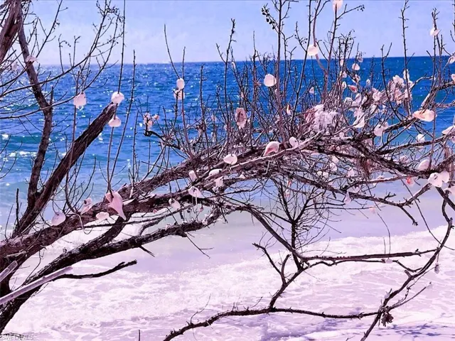 Water & Beach View through the Trees