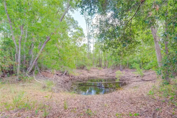 This pond is approximately 20 feet deep, photo taken during dry season