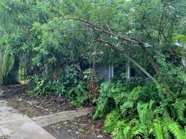 View of nature