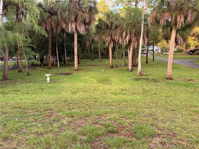 196 Wilson Blvd S, Naples, Florida 34117