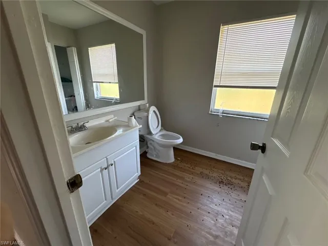 Bathroom with vanity, hardwood / wood-style flooring, toilet, and a wealth of natural light