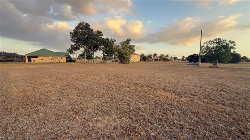 View of grassy yard