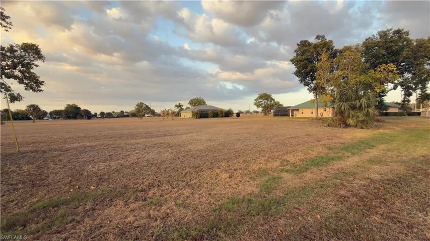 View of grassy yard