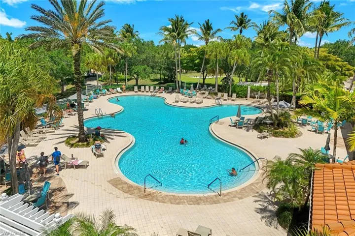 Resort-style pool area featuring a freeform swimming pool, extensive paver deck, mature palm trees, multiple lounge chairs, and shaded seating areas