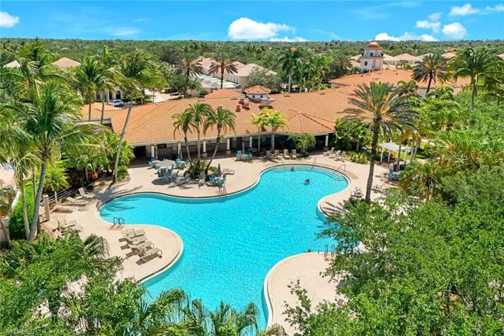Large freeform swimming pool with integrated sun shelves, surrounded by a paver deck and tropical landscaping