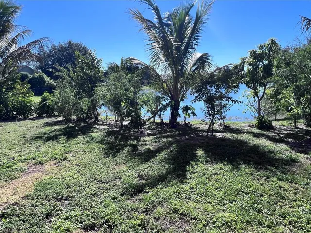 View of local wilderness