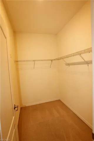 Walk-in storage space featuring neutral carpeting and integrated wire shelving