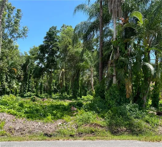 335 Porter St, Naples, Florida 34113