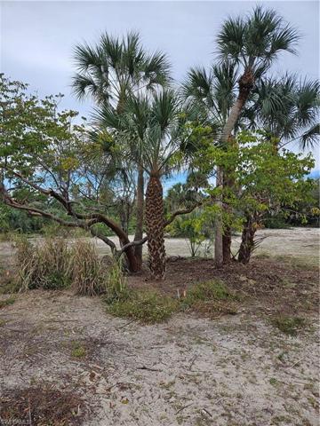 1115  Caxambas  DR, MARCO ISLAND, FL 34145