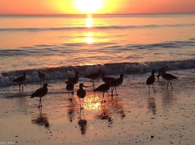 Beach at sunset