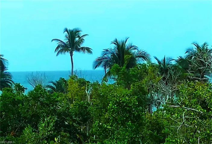 Partial Gulf View from Unit entry area over mangroves