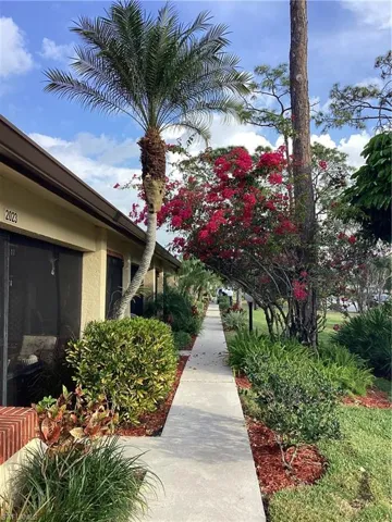 Open view from the front