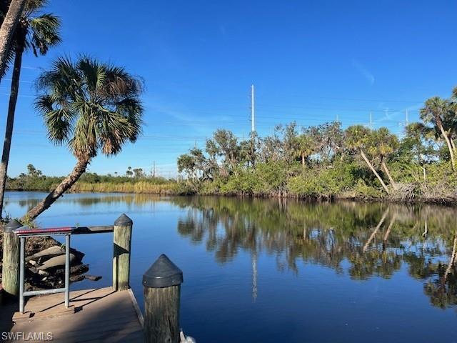 Take the kids, grandkids or dogs down to the dock and enjoy the views and fishing....sometimes you'll even see a Manatee or too.