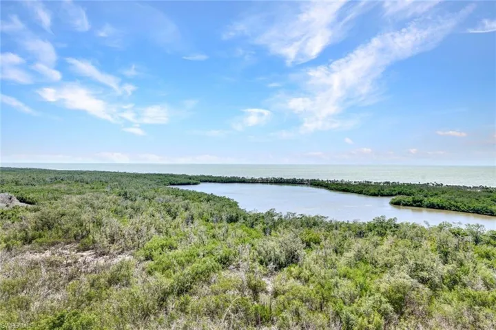 Property view of water featuring a wooded view