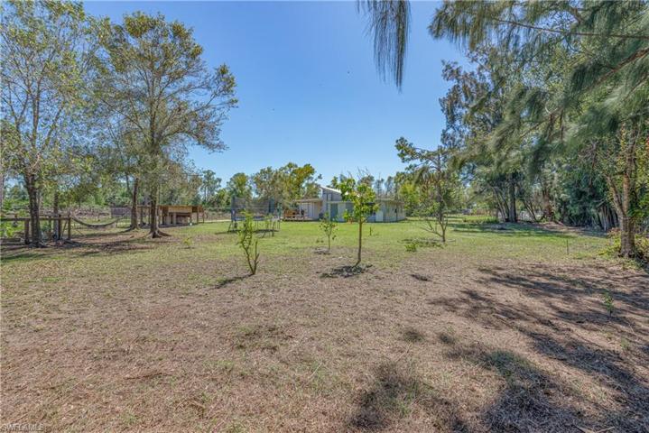 Yard from NW corner of the property