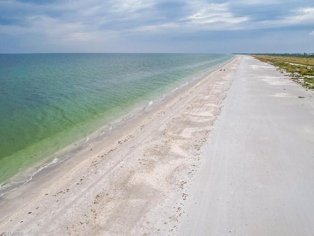 Pristine Coastline