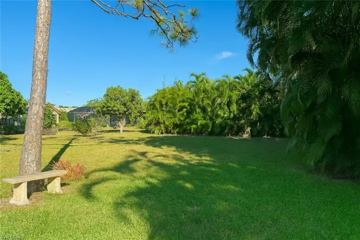 View of backyard yard