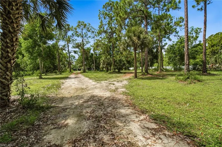 Expansive lot featuring mature trees, diverse vegetation, and a natural ground path