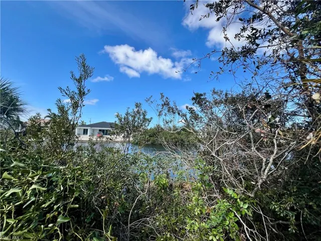 Water view