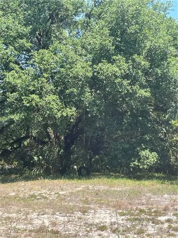 13020  Mullins  LN, Fort Myers, FL 33913