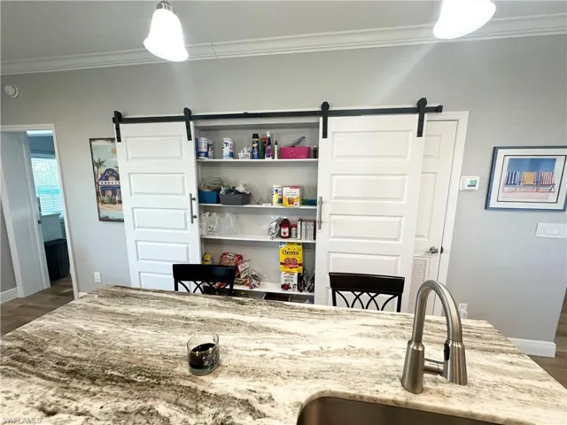 Barn door pantry