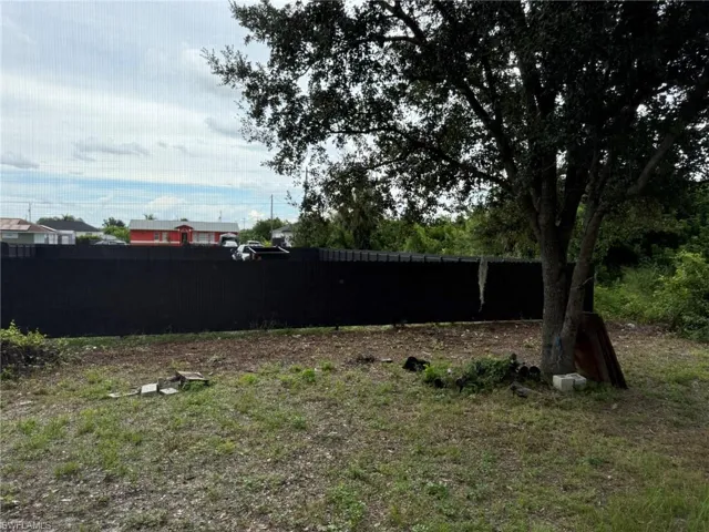 Back Yard