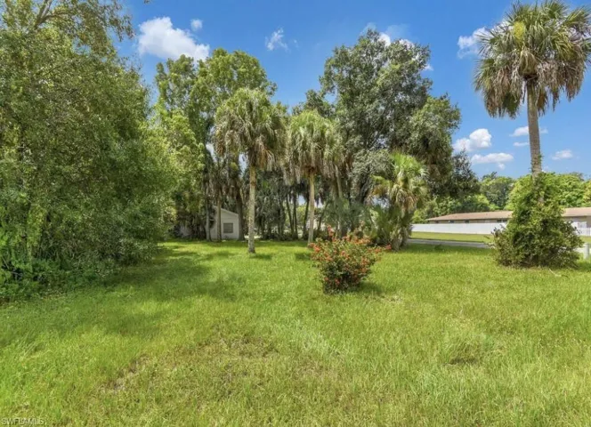 View of grassy yard