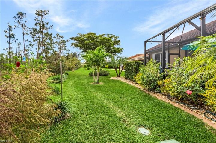 Backyard area.