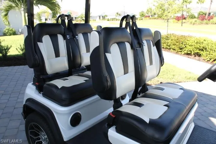 Black and white Evolution golf cart included!