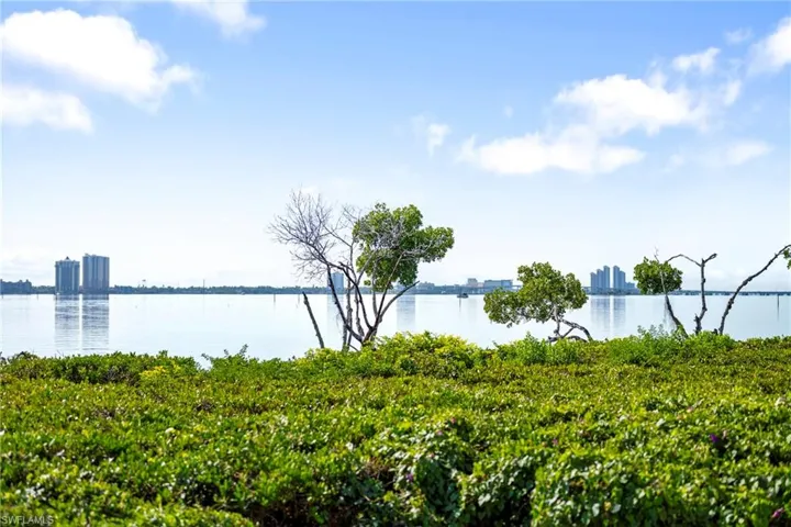 Water view
