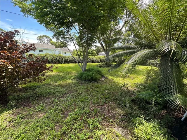 View of backyard