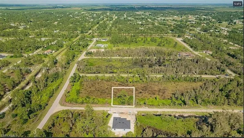 Drone / aerial view of a forest