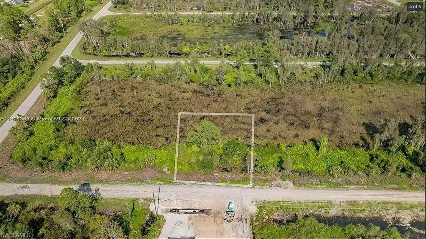 Bird's eye view of a forest