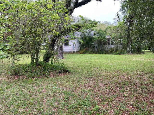 Expansive green lawn with mature trees providing partial shade