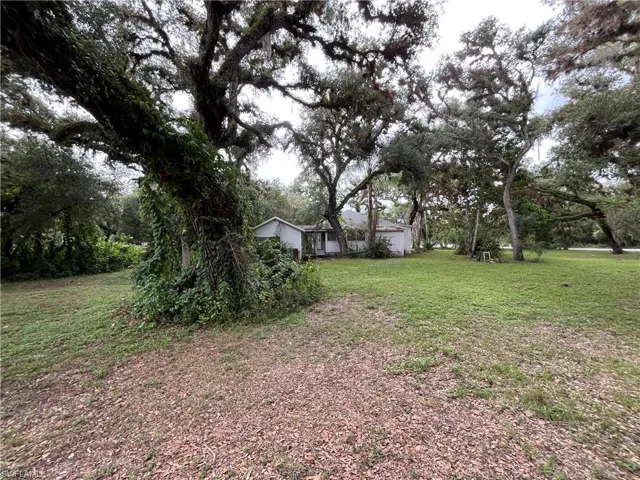Expansive lot featuring mature trees, a blend of grass and natural ground cover, and a visible portion of a single-story structure