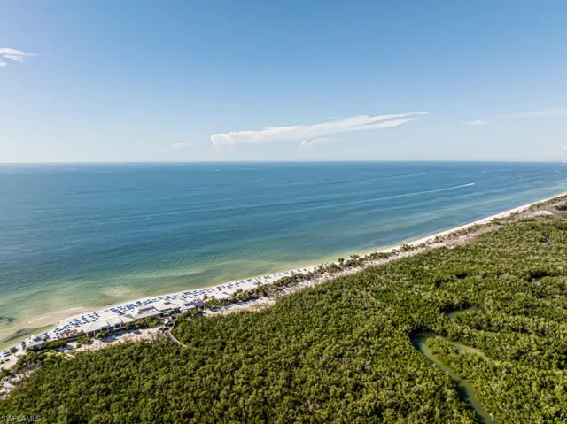 Aerial view of shoreline