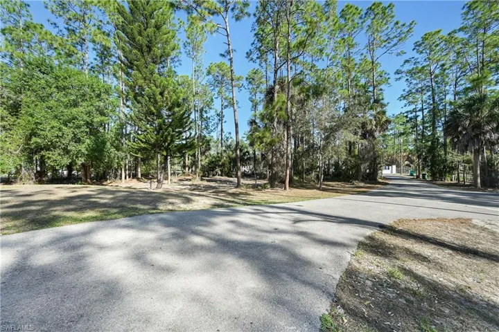 View of asphalt road featuring view of wooded area
